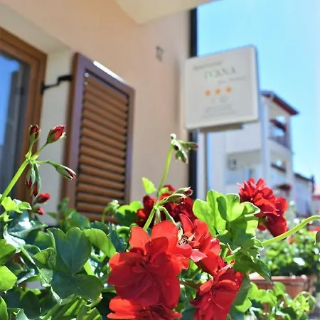 Apartments & Rooms Ivana Rovinj Chambre photo