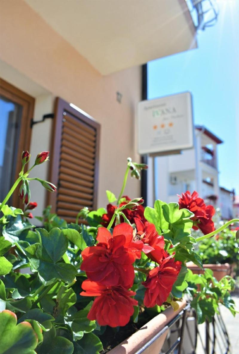 & Ivana Apartment
